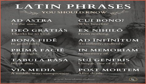 A Profile Of A Latin Beauty