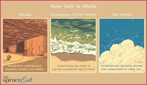 Do bats like salt water?