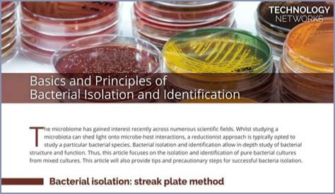What is bacterial isolation